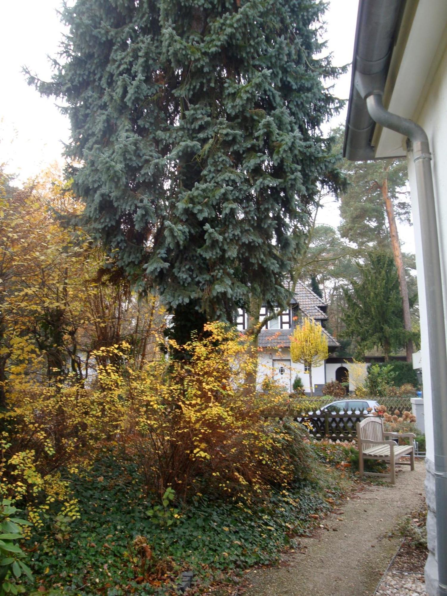 برلين Hotel Landhaus Schlachtensee المظهر الخارجي الصورة